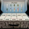Push Disposable Vape - Image 3