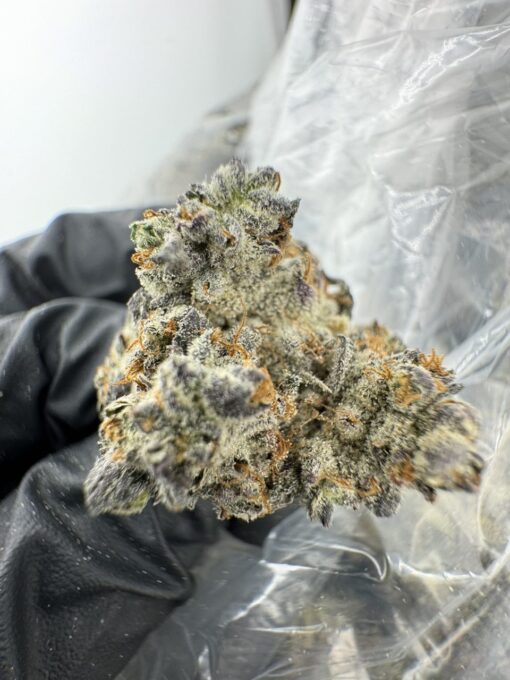 Bubblegum jack weed strain