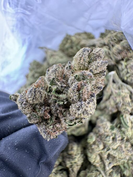 Candy Crush AAA STRAIN