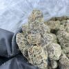 Triple Scoop Weed Strain - Image 2
