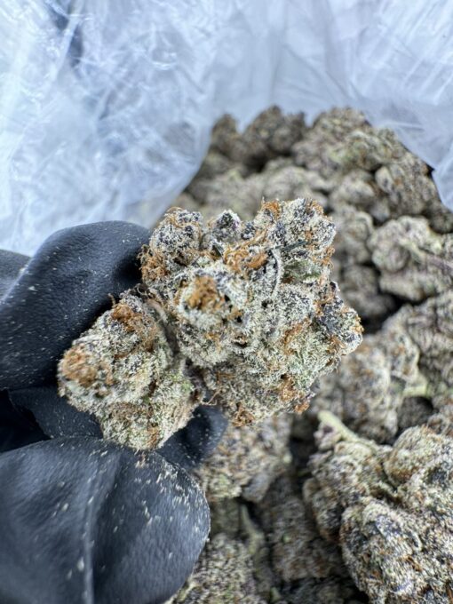 SILVER BULLET WEED STRAIN