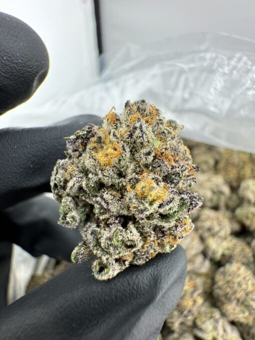 PLUTO 85 WEED STRAIN