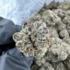 SILVER BULLET WEED STRAIN - Image 2