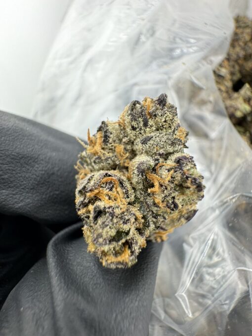 Blueberry Shortcake Strain