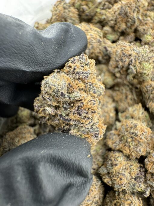 PEANUT BUTTER TRUFFLES STRAIN