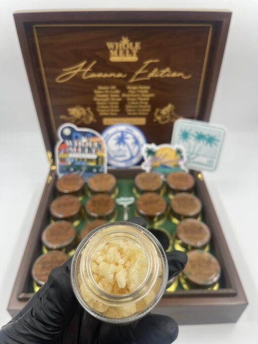Whole Melt Extracts Havana Edition