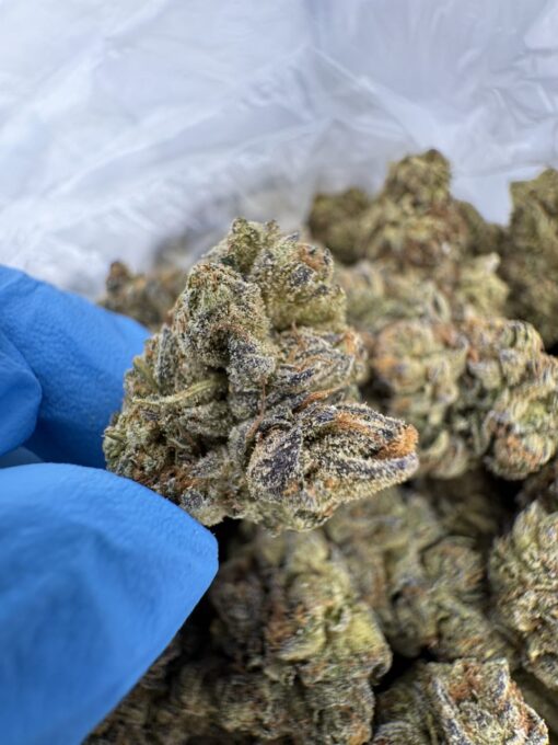 Electric Peanut Butter Cookie Strain