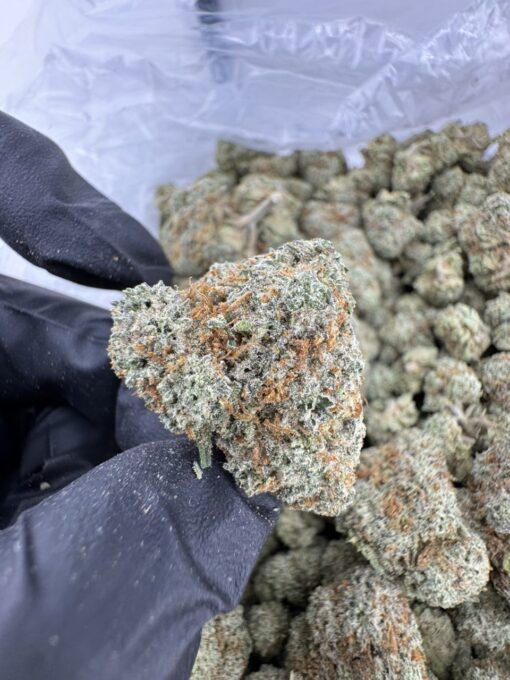 Green Lantern Strain