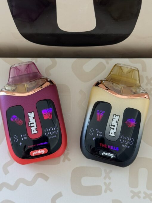 PLUME PARLAY DISPOSABLE 2G – Dual Flavors