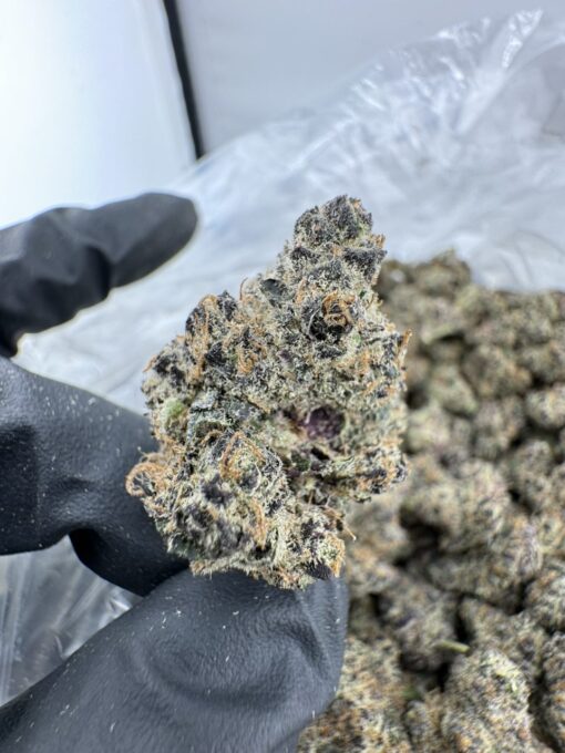 RAINBOW INFERNO STRAIN